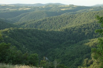 Strandzha Mountain - Bulgaria