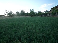 Regulated plot of land for sale near Sandanski