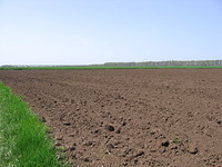 Agricultural land for sale near Kavarna