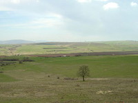 agricultural land near the sea