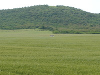 Development land for sale near Sunny Beach