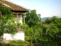 Houses in Berkovitsa