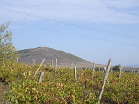 Agricultural land in Burgas