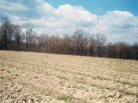 plot in the mountain