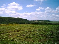 Regulated plot of land for sale near Pomorie