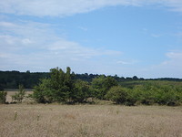 Regulated land in Primorsko