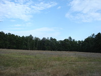 Agricultural land in Primorsko