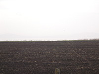 Plot of land for sale near Burgas