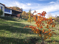 Large luxury property near Dalgopol