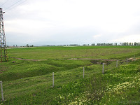 Long Term Investment On A Motorway