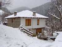 House for sale near Pamporovo
