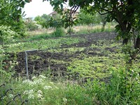 Peace Of Land Near The Sea
