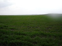 Land At The Sea Side