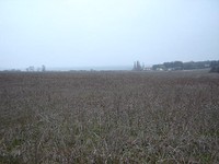 Two Plots At The Sea Side