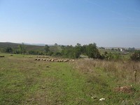 Land on the road Bourgas - Sredets