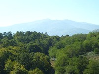 Regulated land in Berkovitsa