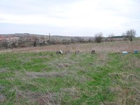 Agricultural land in Aytos