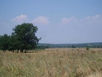 Buiilding Plot With A Plan For A House