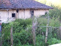 Houses in Berkovitsa