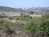 Plot for sale near the sea coast