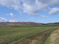 10000 Sq M Land In Regulation Near The Sea