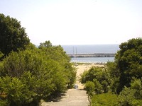 Beautiful Plot Fist Line In Kiten