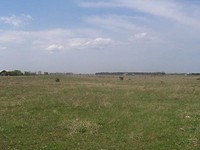 Plots for sale near Kavarna