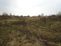 Regulated land in Elhovo