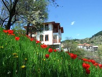 House for sale near Pamporovo