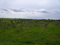 Development land 5 km from the sea