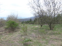 Development land for sale near Albena